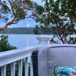 Water Views
